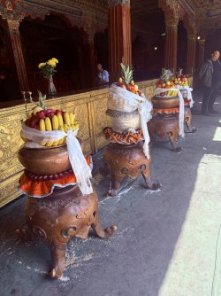 IMG_0459.jpeg