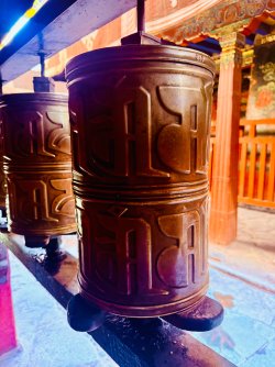 IMG_0463.jpeg