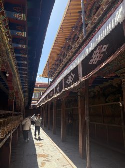 IMG_0468.jpeg
