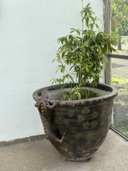 IMG_0730.jpg