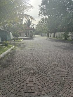 IMG_0731.jpg