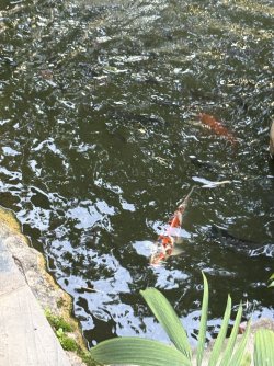 IMG_0739.jpg