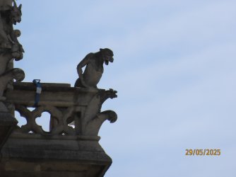 IMG_8498.JPG