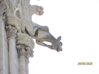 IMG_8504.JPG