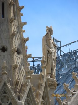 IMG_8510.JPG