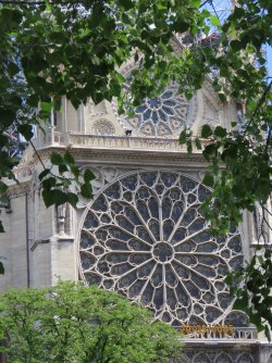 IMG_8512.JPG