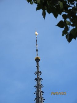 IMG_8516.JPG
