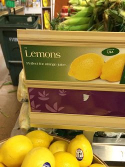 IMG_8132.jpeg