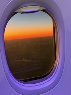 IMG_1231.jpeg