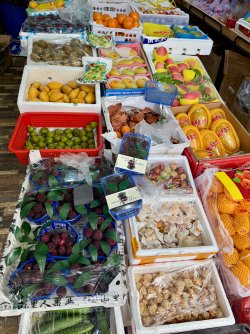 IMG_0506.jpeg