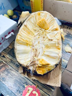 IMG_0507.jpeg