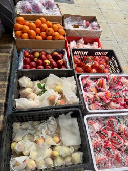 IMG_0505.jpeg