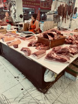 IMG_0512.jpeg