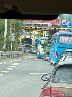 IMG_0527.jpeg
