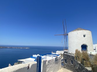 IMG_7187.jpeg
