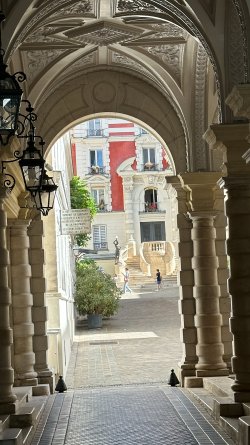 IMG_1116.JPEG
