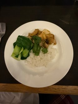 IMG_0229.jpeg