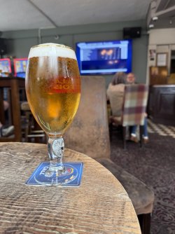 IMG_0237.jpeg