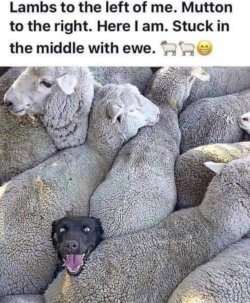IMG_2608.JPEG