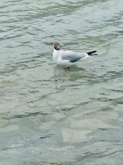 IMG_0607.jpeg