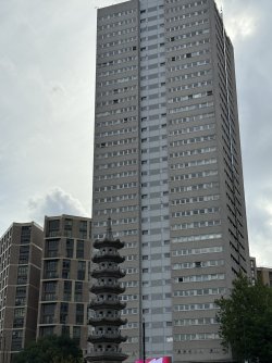 IMG_0256.jpeg