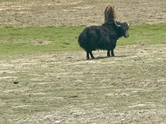 IMG_0643.jpeg