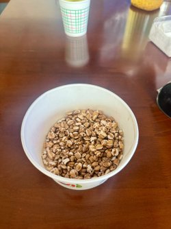 IMG_0645.jpeg