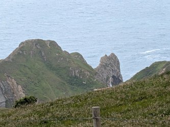 PXL_20250529_134544182.jpg