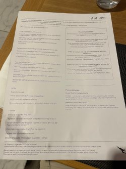 IMG_4384.jpeg