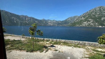 IMG_1331.JPEG