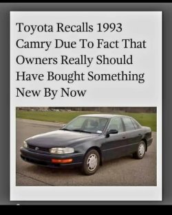 1748746653663.jpeg