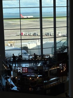 IMG_2163.jpeg