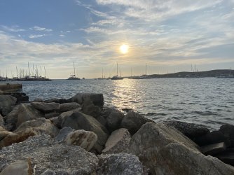 IMG_7406.jpeg