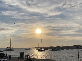 IMG_7410.jpeg