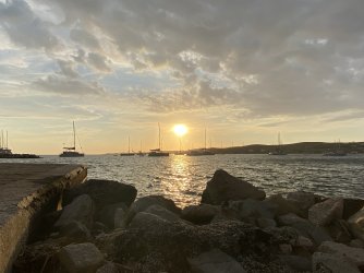 IMG_7423.jpeg