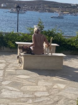 IMG_7387.jpeg