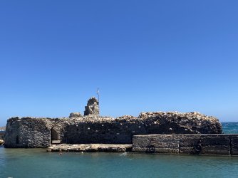 IMG_7455.jpeg