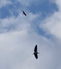 PXL_20250601_141520933.jpg