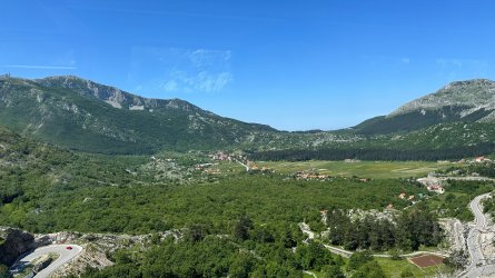 IMG_1666.JPEG