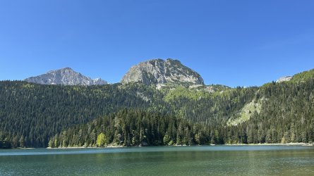 IMG_1834.jpeg