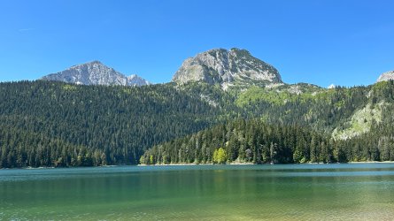 IMG_1830.JPEG