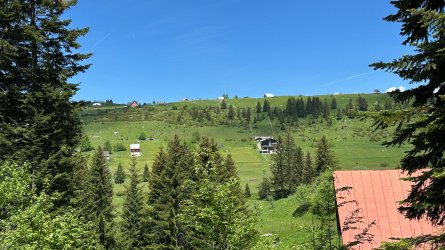 IMG_1841.JPEG