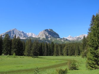 IMG_8668.JPG