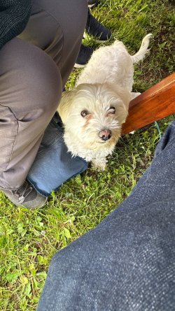 IMG_1861.JPEG