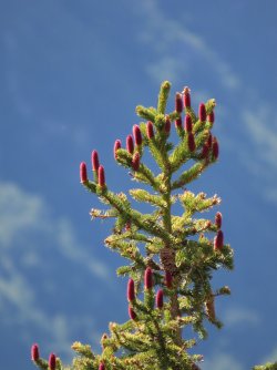 IMG_8689.JPG