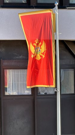 IMG_1923.JPEG