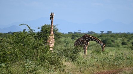 DSC_0077.JPG