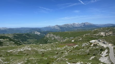 IMG_1958.jpeg