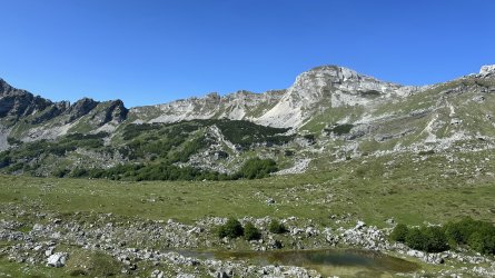 IMG_1943.jpeg