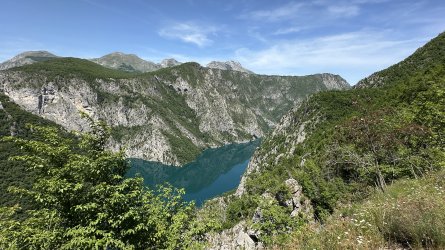 IMG_1974.jpeg
